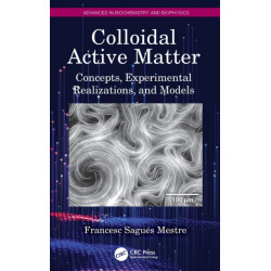 Colloidal Active Matter: Concepts, Experimental Realizations, and Models