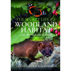 The Secret Life of a Woodland Habitat: Life Through the Seasons