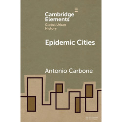 Epidemic Cities