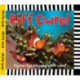Cyfres Dwlu Dysgu: Riff Cwrel