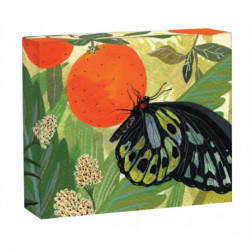 Butterflies QuickNotes