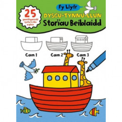 Fy Llyfr Dysgu Tynnu Llun - Storiau Beiblaidd