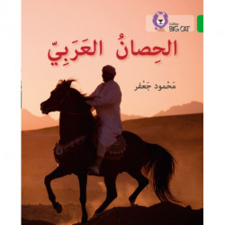 The Arabian Horse: Level 5