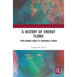 A History of Energy Flows: From Human Labor to Renewable Power