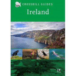 Ireland: Crossbill Guides