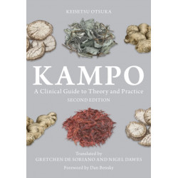 Kampo: A Clinical Guide to Theory and Practice
