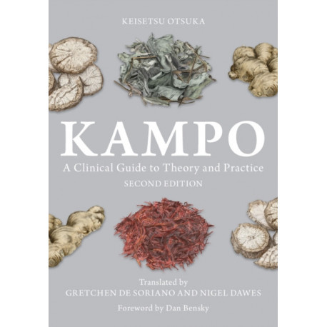 Kampo: A Clinical Guide to Theory and Practice