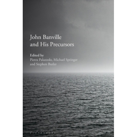 John Banville and His Precursors