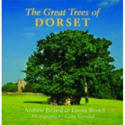 The Great Trees of Dorset