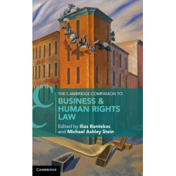 The Cambridge Companion to Business and Human Rights Law