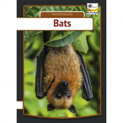 Bats
