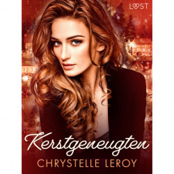 Kerstgeneugten – erotisch verhaal