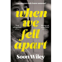 When We Fell Apart: 'Truly unforgettable' Abi Dare