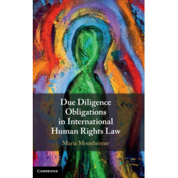 Due Diligence Obligations in International Human Rights Law