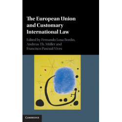 The European Union and Customary International Law