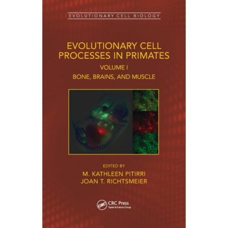 Evolutionary Cell Processes in Primates: Bone, Brains, and Muscle, Volume I