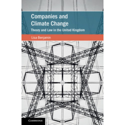Companies and Climate Change: Theory and Law in the United Kingdom