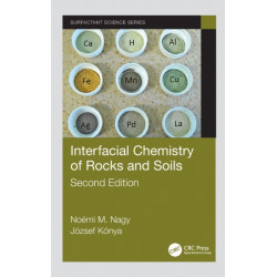 Interfacial Chemistry of Rocks and Soils