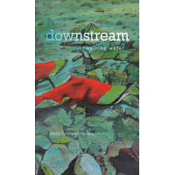 Downstream: Reimagining Water