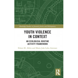 Youth Violence in Context: An Ecological Routine Activity Framework