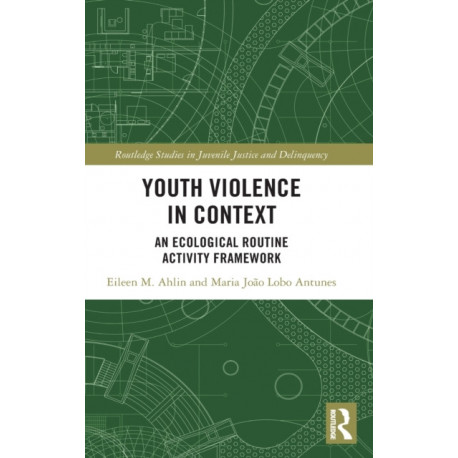 Youth Violence in Context: An Ecological Routine Activity Framework