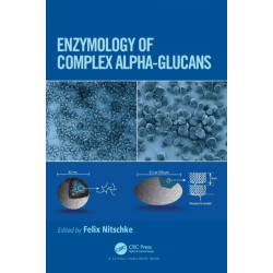 Enzymology of Complex Alpha-Glucans