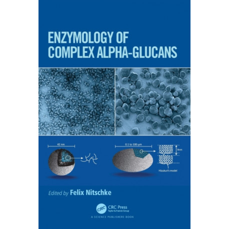 Enzymology of Complex Alpha-Glucans