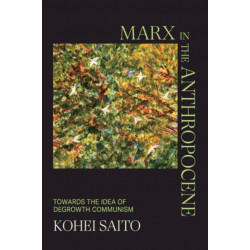 Marx in the Anthropocene: Towards the Idea of Degrowth Communism