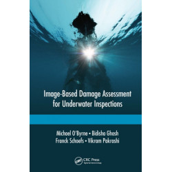Image-Based Damage Assessment for Underwater Inspections