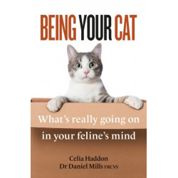 Being Your Cat: What's really going on in your feline's mind