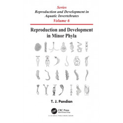 Reproduction and Development in Minor Phyla