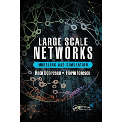 Large Scale Networks: Modeling and Simulation
