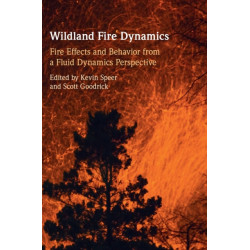 Wildland Fire Dynamics: Fire Effects and Behavior from a Fluid Dynamics Perspective