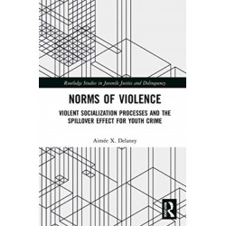 Norms of Violence: Violent Socialization Processes and the Spillover Effect for Youth Crime