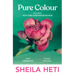 Pure Colour: the new novel from the author of Motherhood and How Should A Person Be?