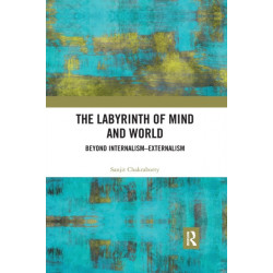 The Labyrinth of Mind and World: Beyond Internalism–Externalism