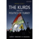 The Kurds and the Politics of Turkey: Agency, Territory and Religion