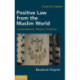 Positive Law from the Muslim World: Jurisprudence, History, Practices