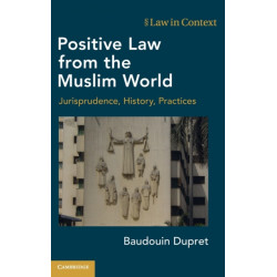 Positive Law from the Muslim World: Jurisprudence, History, Practices