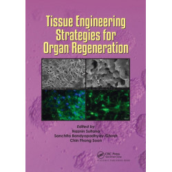 Tissue Engineering Strategies for Organ Regeneration