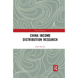 China Income Distribution Research