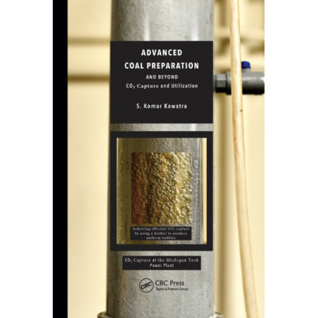 Advanced Coal Preparation and Beyond: CO2 Capture and Utilization