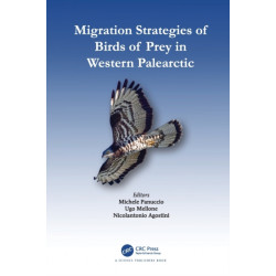 Migration Strategies of Birds of Prey in Western Palearctic