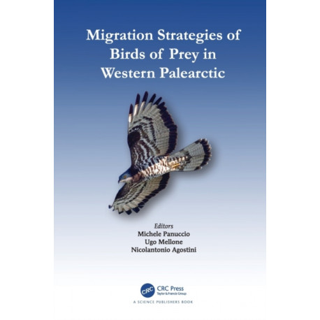 Migration Strategies of Birds of Prey in Western Palearctic