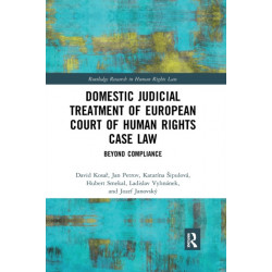 Domestic Judicial Treatment of European Court of Human Rights Case Law: Beyond Compliance