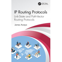 IP Routing Protocols: Link-State and Path-Vector Routing Protocols