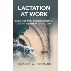 Lactation at Work: Expressed Milk, Expressing Beliefs, and the Expressive Value of Law