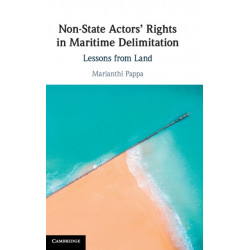 Non-State Actors' Rights in Maritime Delimitation: Lessons from Land