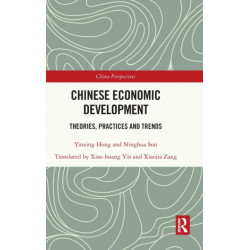 Chinese Economic Development: Theories, Practices and Trends