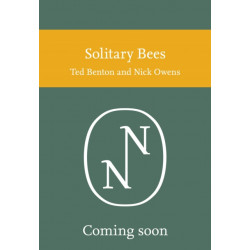 Solitary Bees